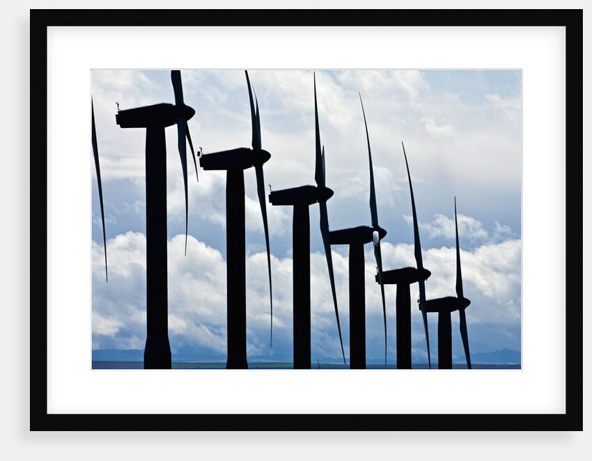 Windmills, Wallula, Washington by Anonymous