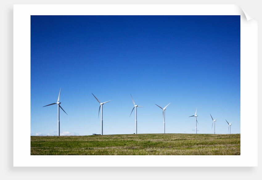 Windmills, Wallula, Washington by Anonymous
