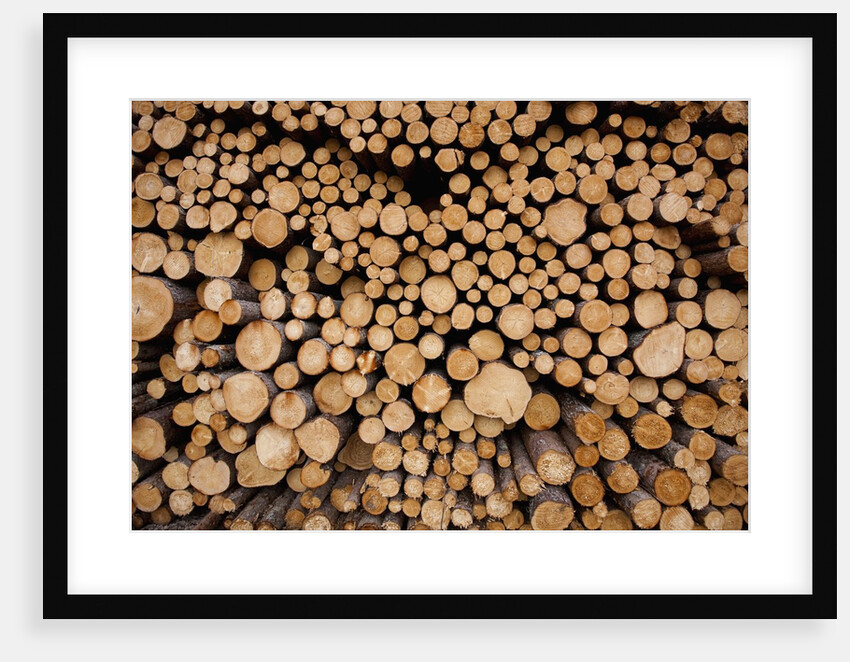 Log Pile at Sawmill, Gulliver, Michigan by Anonymous