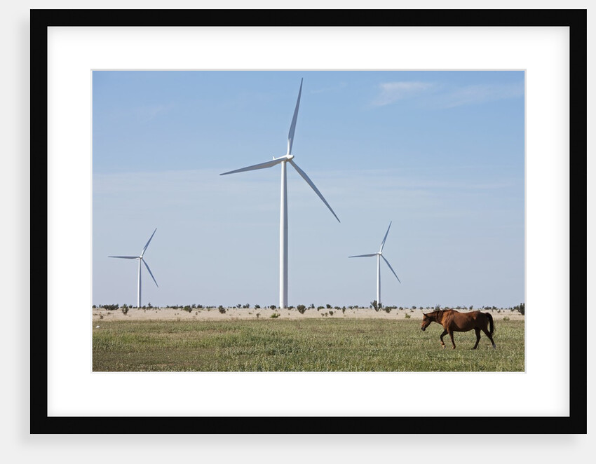 Wind Farm, Vega, Texas by Anonymous