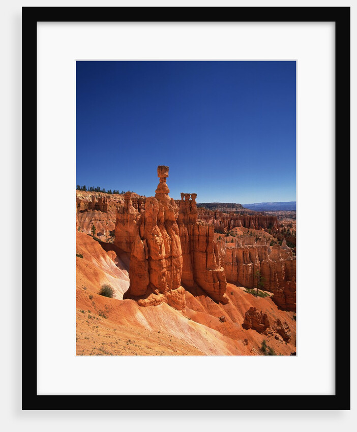 Bryce Canyon National Park by Anonymous