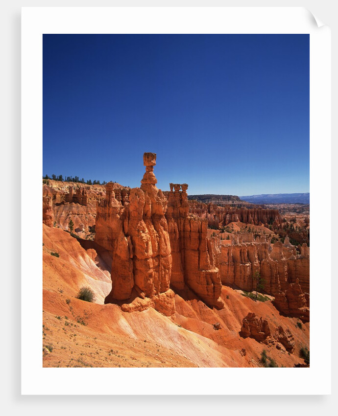 Bryce Canyon National Park by Anonymous