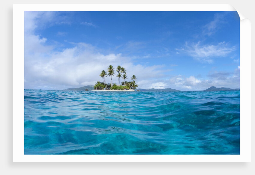 Tropical island, Micronesia by Anonymous
