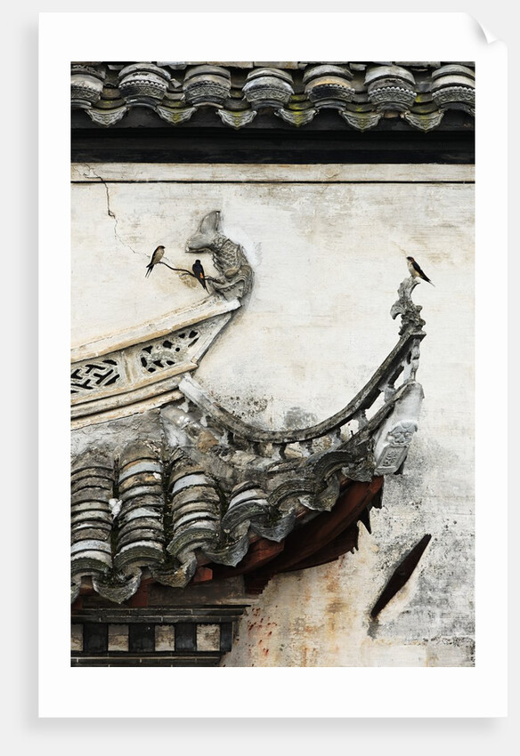 Tiled roof in Xidi, China by Anonymous