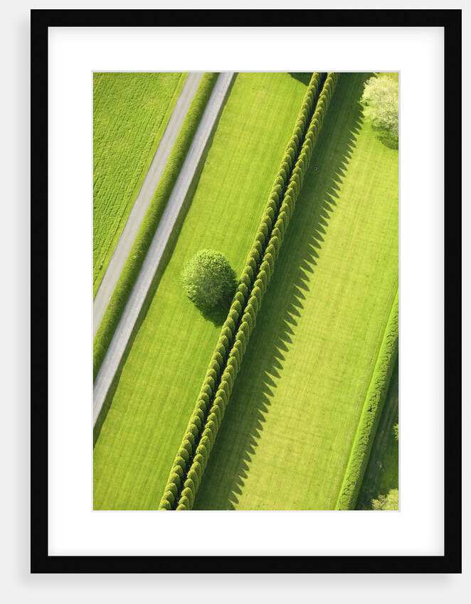 Hedge in The Hamptons by Anonymous