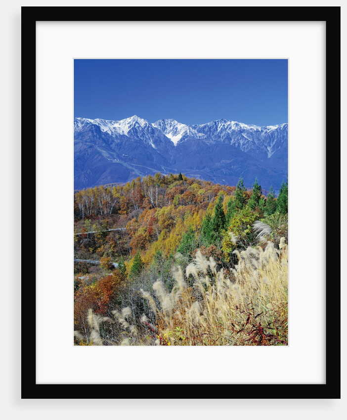 Mountain range and autumn foliage, Hakuma Miyama, Nagano Prefecture, Japan by Anonymous