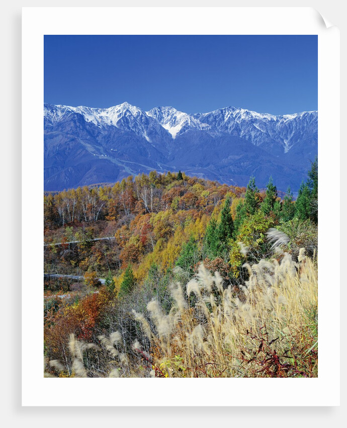 Mountain range and autumn foliage, Hakuma Miyama, Nagano Prefecture, Japan by Anonymous