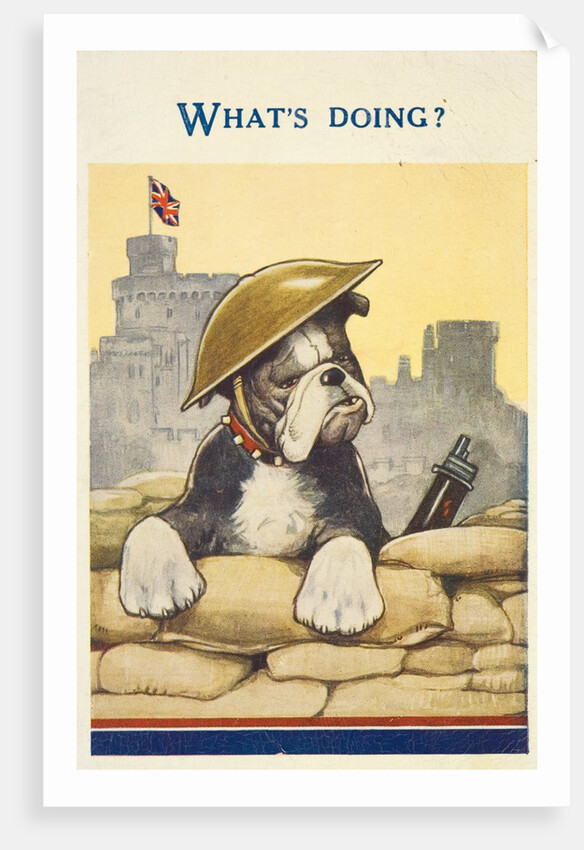 The bulldog spirit by Anonymous