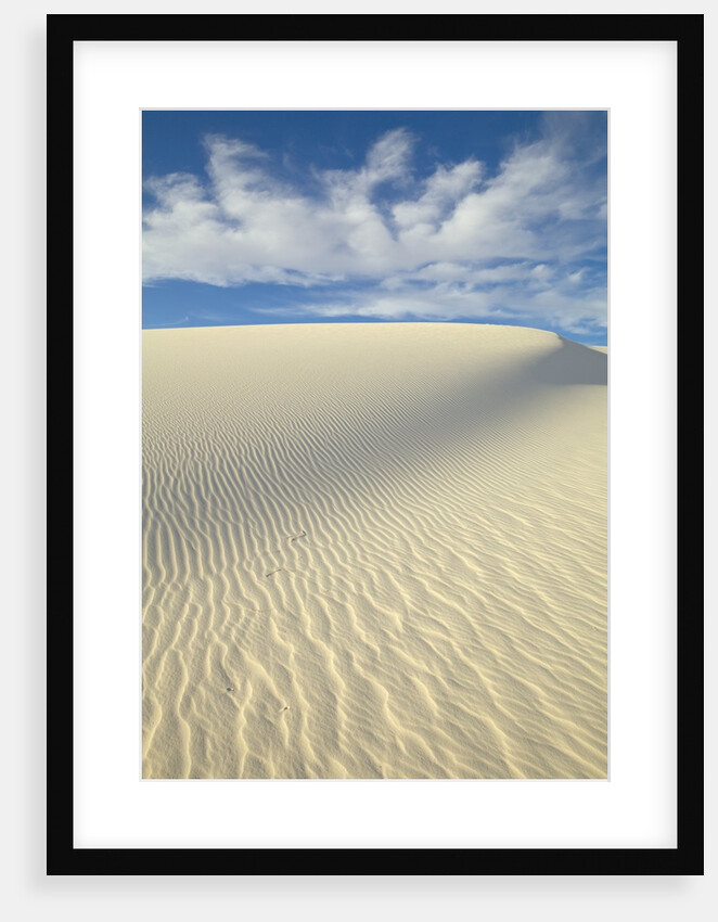 Dune in White Sands National Monument by Anonymous