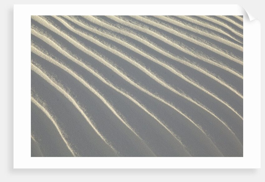 Sand in White Sands National Monument by Anonymous