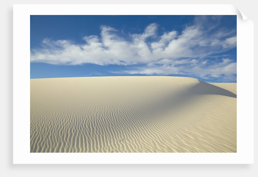 Dune in White Sands National Monument by Anonymous