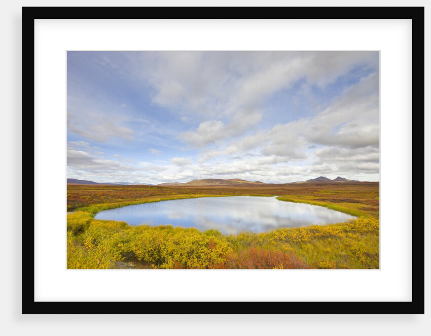 Pond and tundra in Yukon Territory by Anonymous