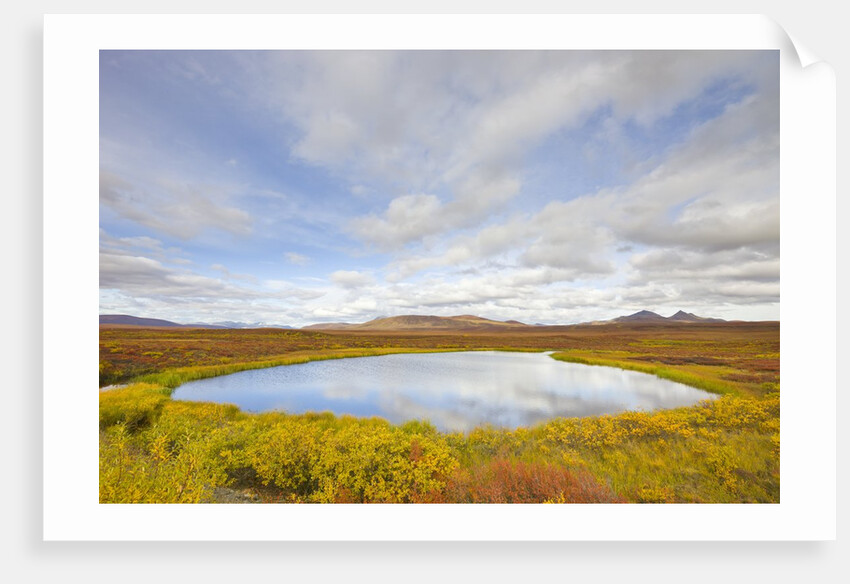Pond and tundra in Yukon Territory by Anonymous