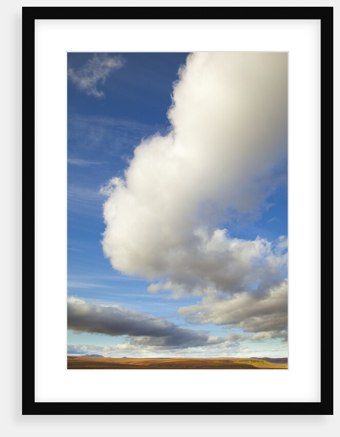 Cumulus clouds above tundra in Yukon Territory by Anonymous