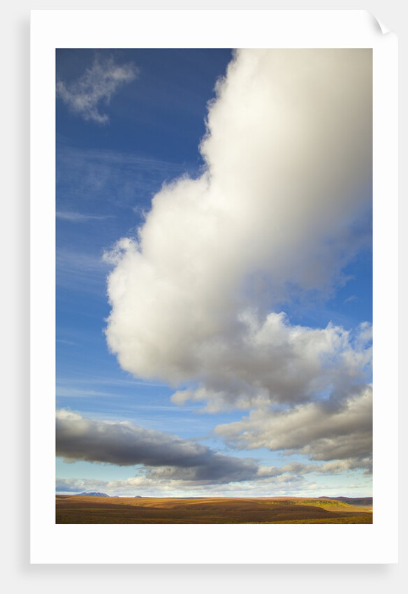 Cumulus clouds above tundra in Yukon Territory by Anonymous