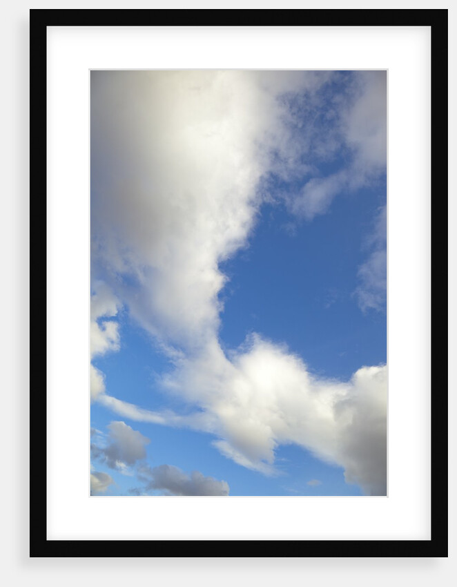 Lenticular and cumulus clouds in Denali National Park by Anonymous