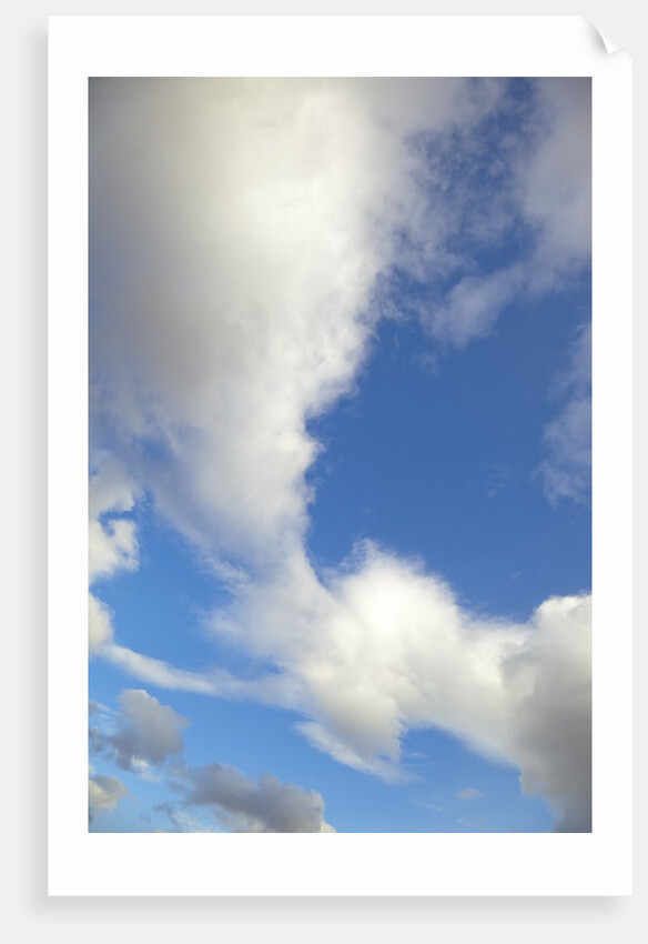 Lenticular and cumulus clouds in Denali National Park by Anonymous