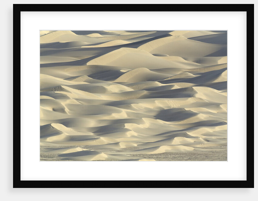 Sand dunes in Death Valley National Park by Anonymous