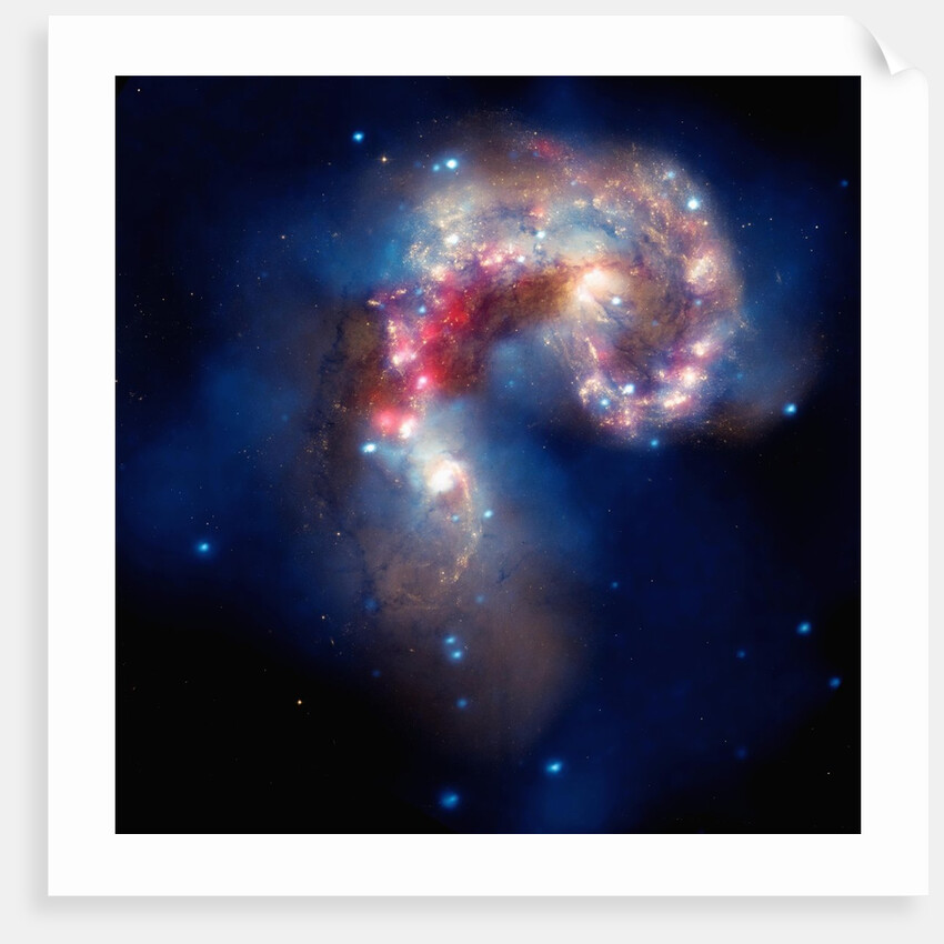 Antennae galaxies by Anonymous