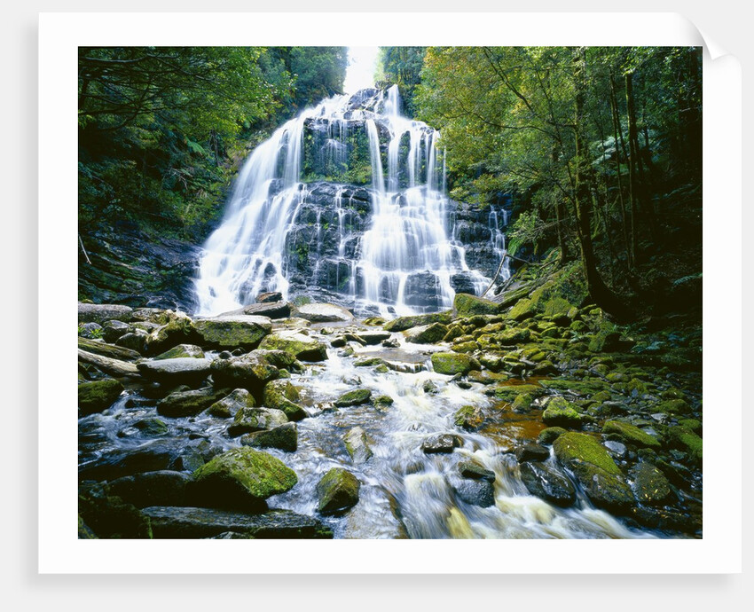 The many tiered Nelson Falls and lush rainforest located in the Franklin-Gordon Wild Rivers National Park, Tasmania. by Anonymous