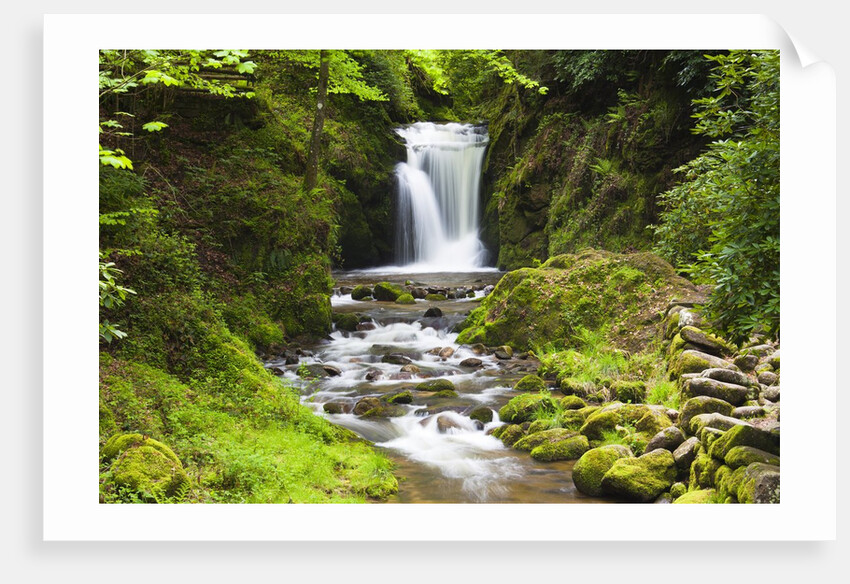 Geroldsauer Waterfall in Grobbach Valley in the Black Forest by Anonymous