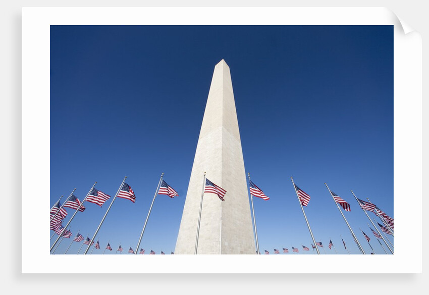 Washington Monument surrounded by American flags