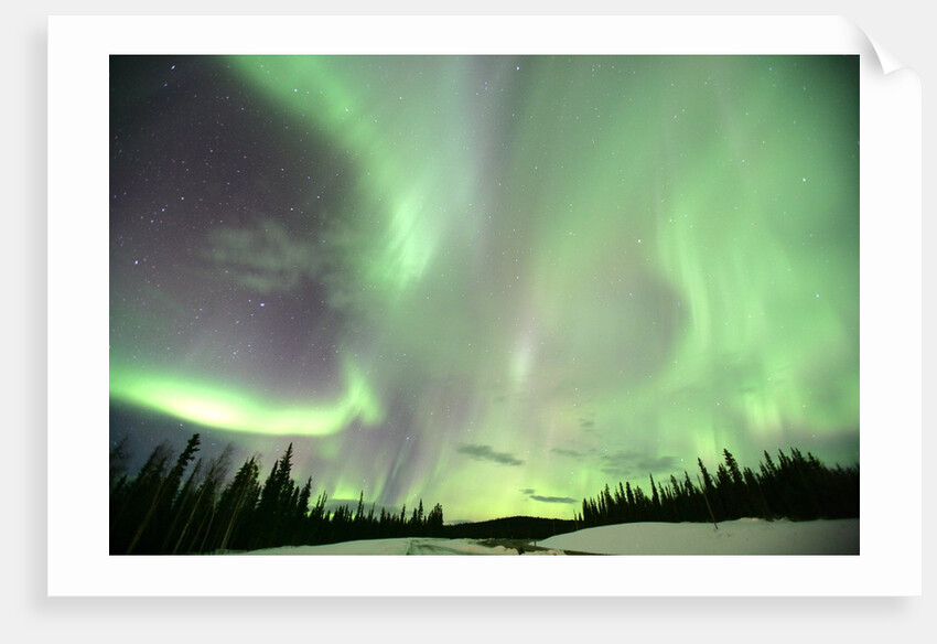 Aurora Borealis or Northern Lights, Yukon. by Anonymous