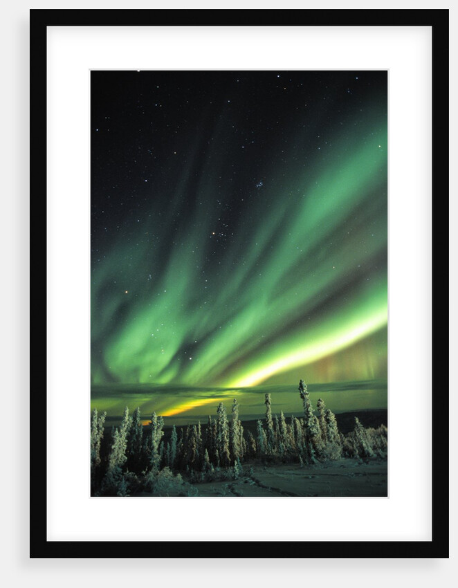 Aurora Borealis or Northern Lights, Yukon. by Anonymous