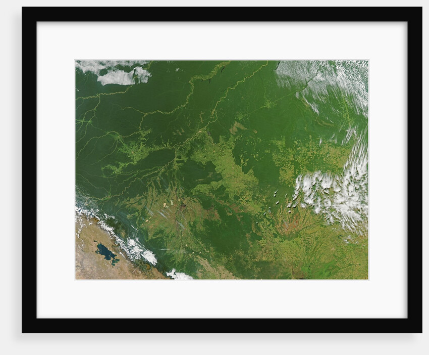 Deforestation in the Amazon Basin, Brazil by Anonymous