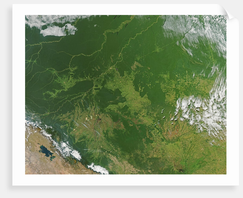 Deforestation in the Amazon Basin, Brazil by Anonymous