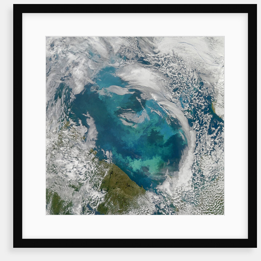 Phytoplankton Bloom in the Barents Sea by Anonymous