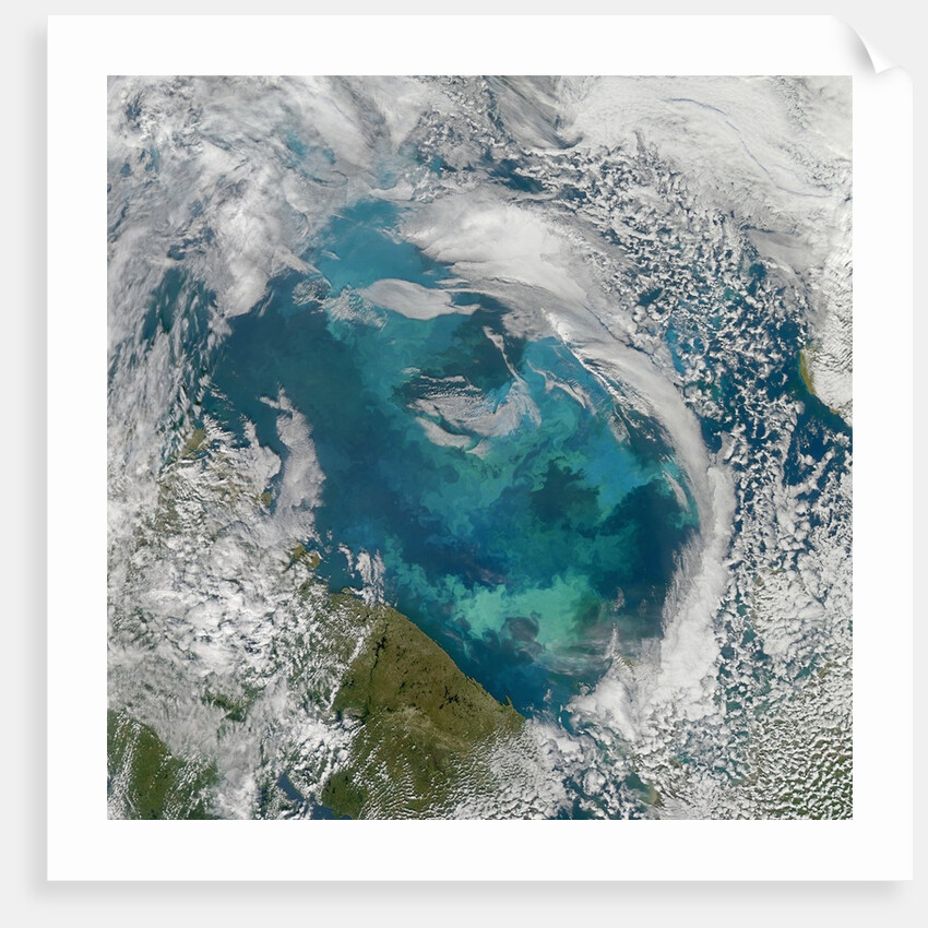 Phytoplankton Bloom in the Barents Sea by Anonymous