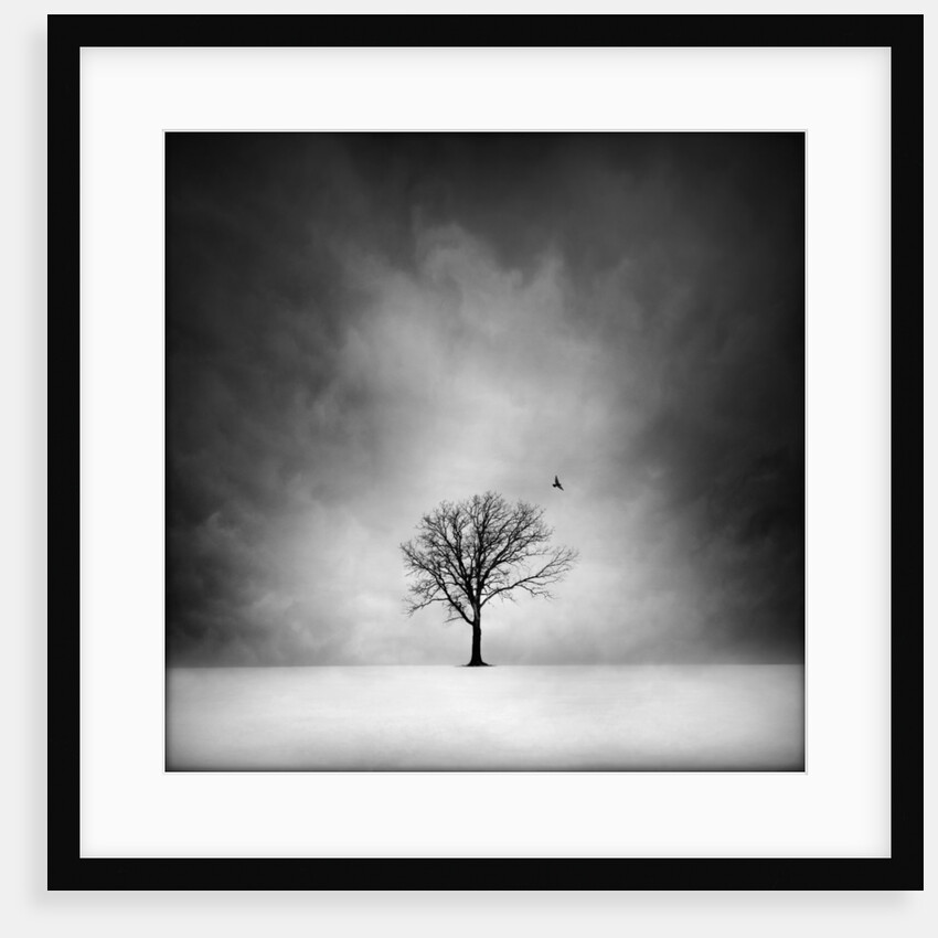 Solitary tree in a winter landscape by Anonymous