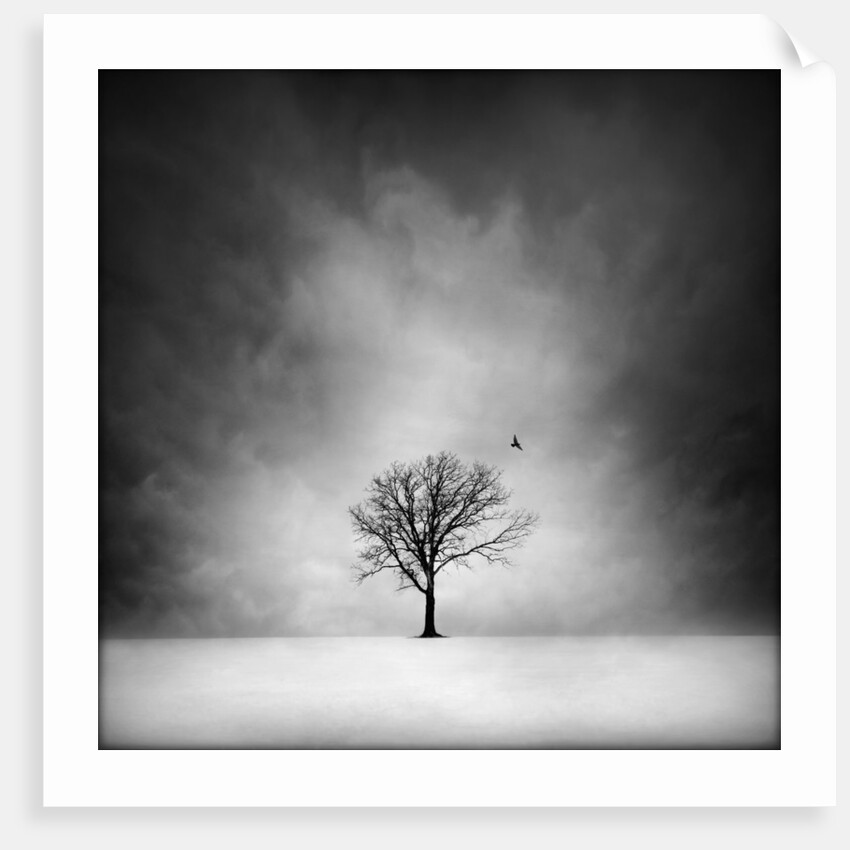 Solitary tree in a winter landscape by Anonymous