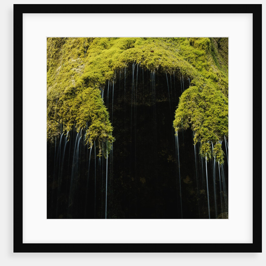 A moss covered waterfall in the Bavarian Allg?u by Anonymous