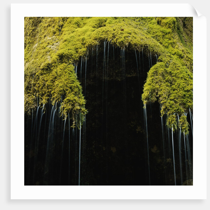A moss covered waterfall in the Bavarian Allg?u by Anonymous