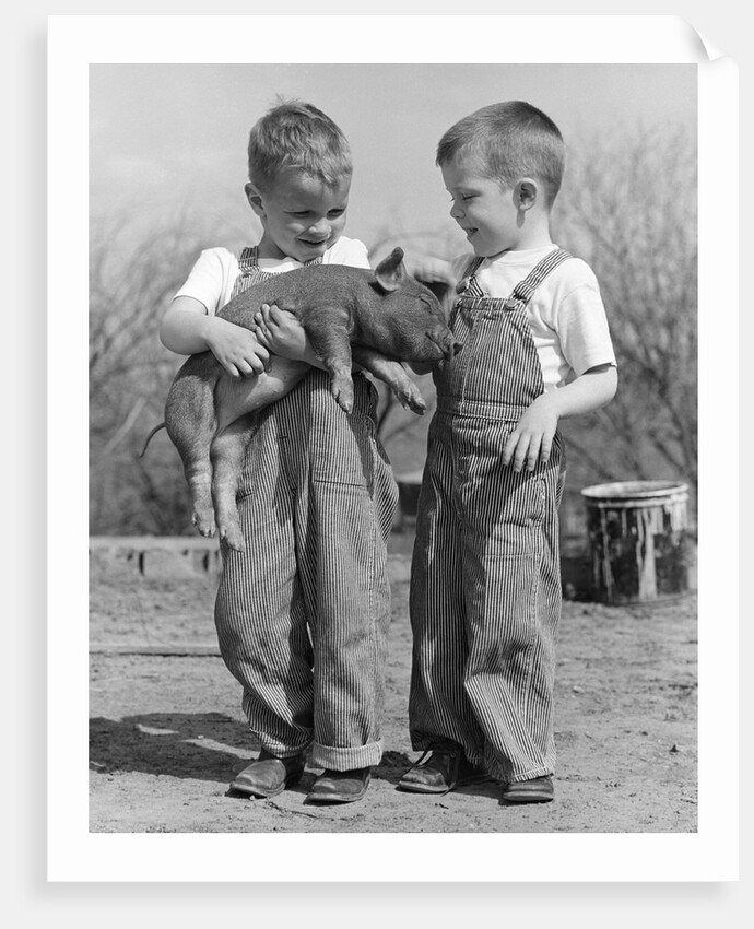 Boys in striped overalls holding piglet by Anonymous