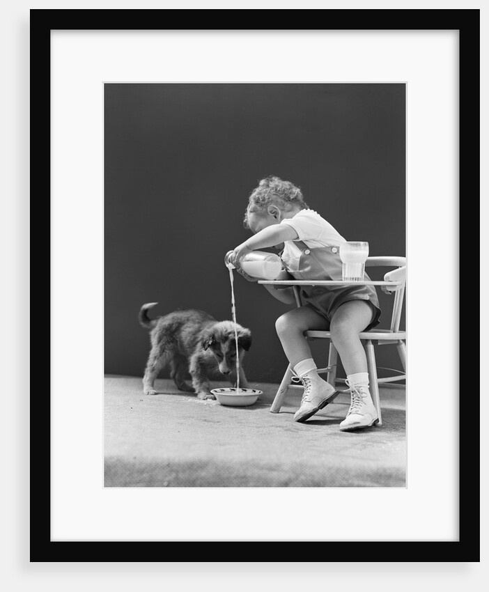Toddler sitting in chair pouring milk from bottle into bowl for puppy dog by Anonymous