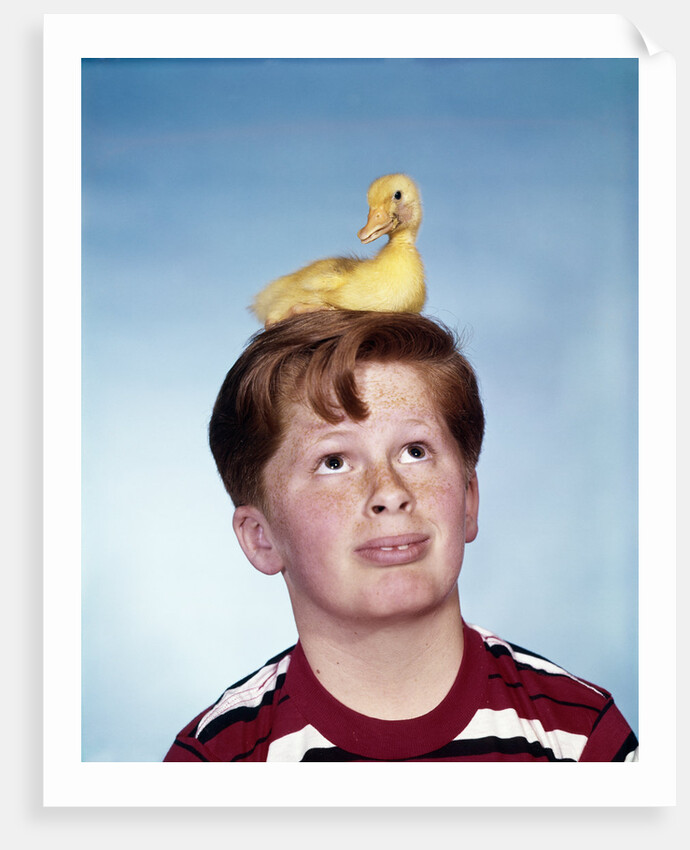 Boy with baby duckling sitting on top of his head by Anonymous