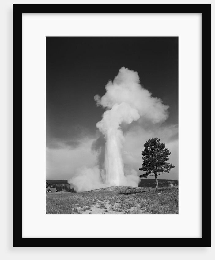 Old faithful geyser erupting yellowstone national park by Anonymous