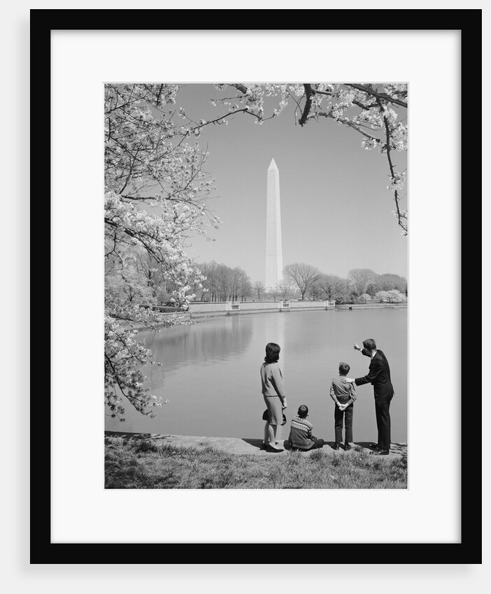 Family mother father two boys in washington dc looking at washington monument amid cherry blossoms by Anonymous
