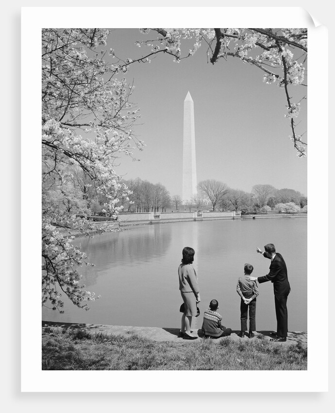 Family mother father two boys in washington dc looking at washington monument amid cherry blossoms by Anonymous