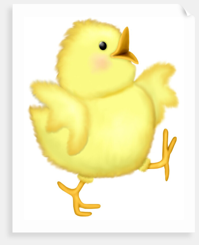 A happy chick spreading its wings as it walks by Anonymous