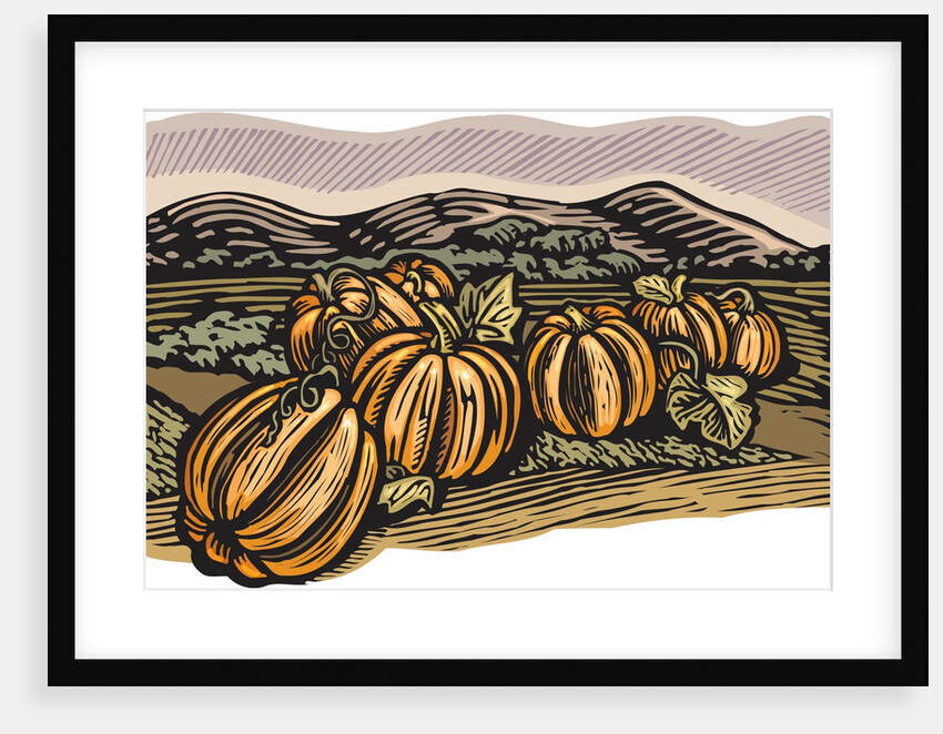 Pumpkin patch by Anonymous