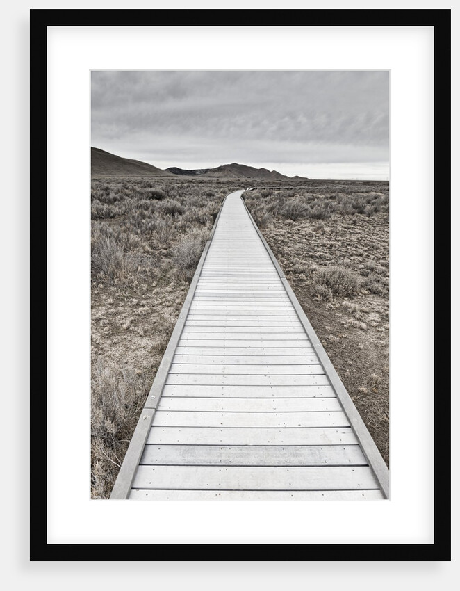Boardwalk through the desert by Anonymous