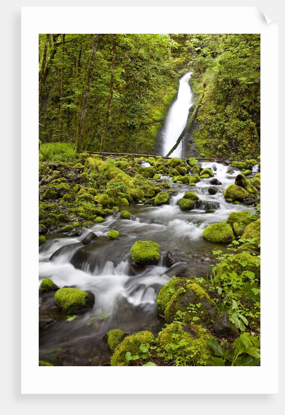 Ruckel Creek Falls by Anonymous