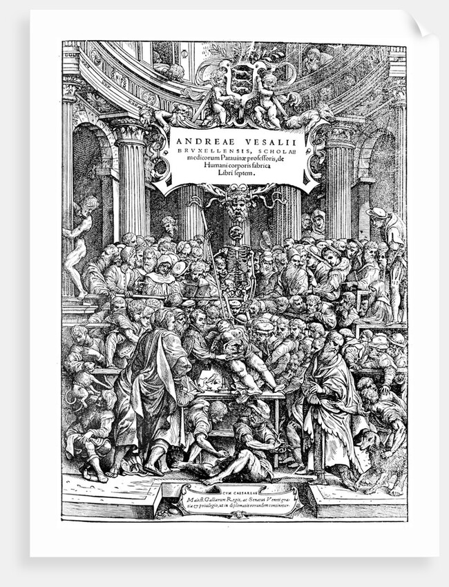 Title page of Andreas Vesalius "De Humani Corporis Fabrica" by Anonymous