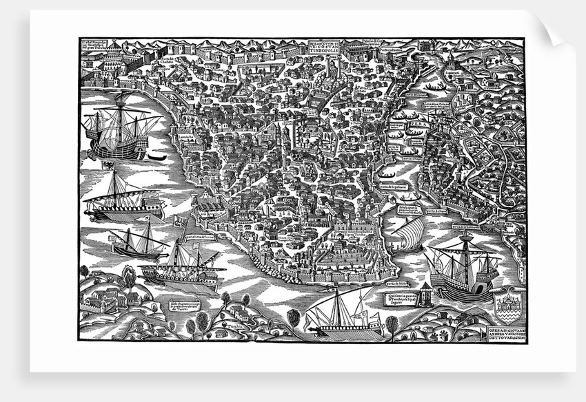 Constantinople, mid 16th century by Anonymous