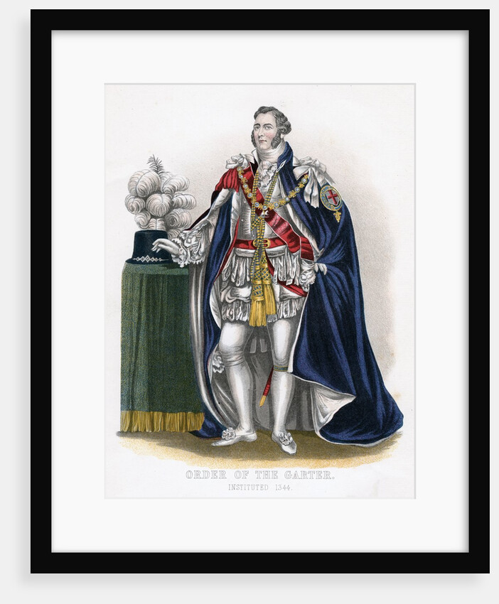 Member of the Order of the Garter by Anonymous