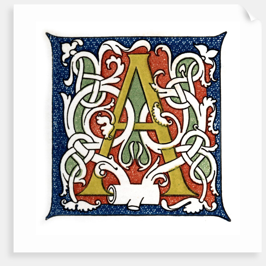 Initial letter A by Anonymous